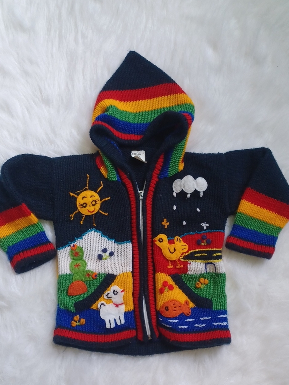 Chaya K Crafts hand-knit Peruvian-style farm scenes. Rainbow. Unisex 2t/3t?